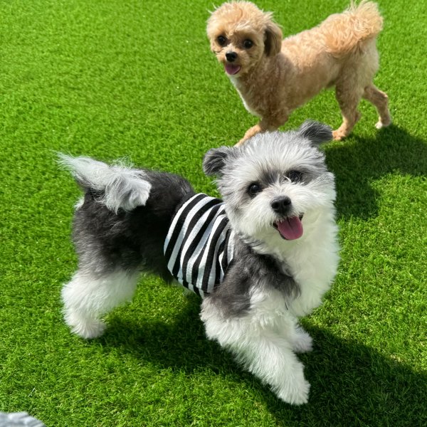 오후활동